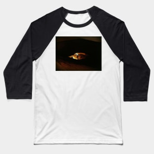 Cat's Eye Baseball T-Shirt